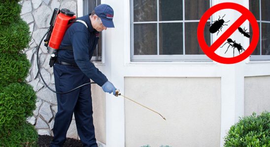 Kapaklı Dezenfeksiyon böcek ilaçlama ve haşere kontrolü — ilaclama-tr.com